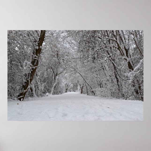 Affiches Snowy Trail (Devant)