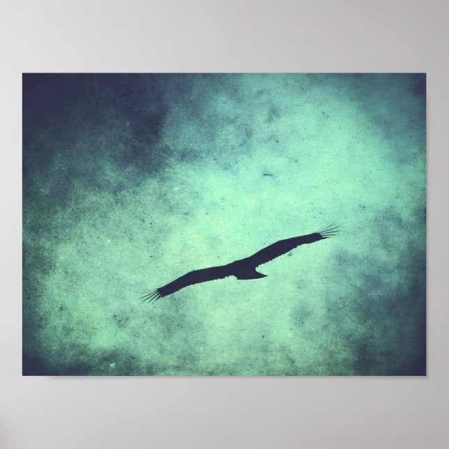 Affiches Soar (Devant)