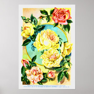 Affiches Société Vintage rose de semences de fleurs