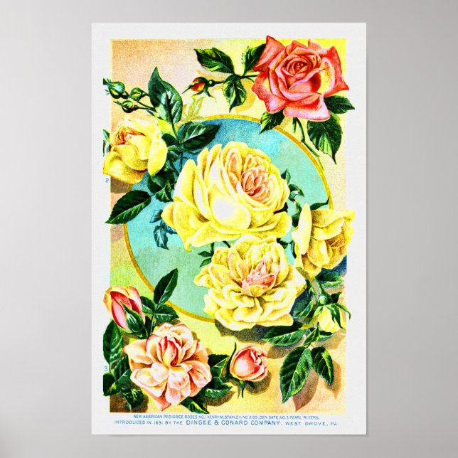 Affiches Société Vintage rose de semences de fleurs (Devant)