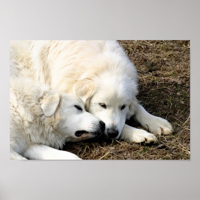 Affiches Soeurs (Devant)