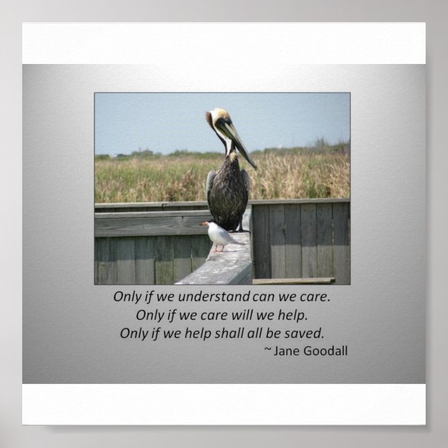 Affiches Soins (Devant)