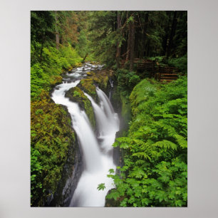 Affiches Sol Duc Falls in Olympic National Park in