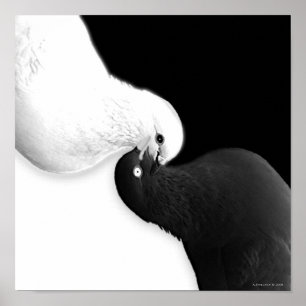 Affiches Solde par B & BB