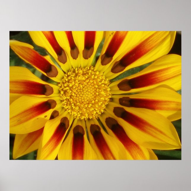 Affiches Soleil (Devant)