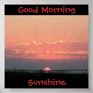 Affiches Soleil bonjour