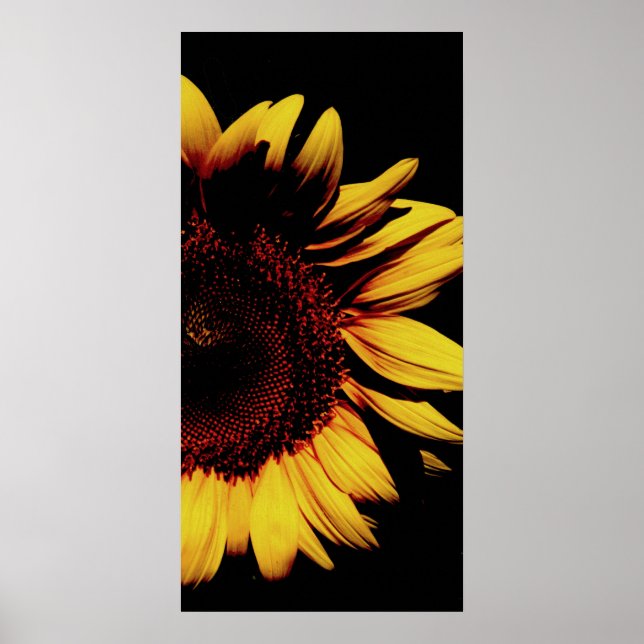 Affiches Soleil foncé (Devant)