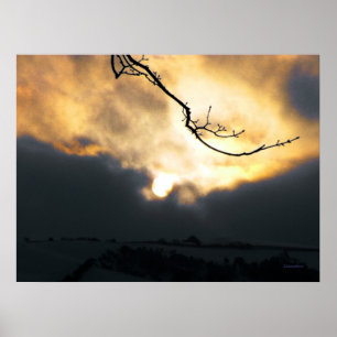 Affiches Soleil hivernal