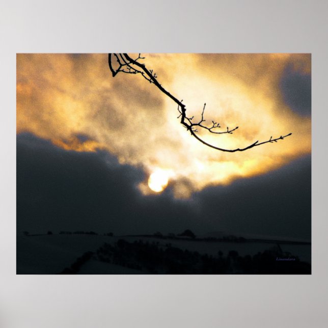 Affiches Soleil hivernal (Devant)