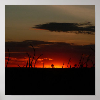 Affiches Soleil rouge