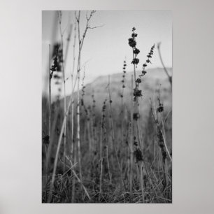 Affiches solitude