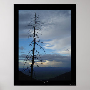 Affiches Solitude de canyon de Miller