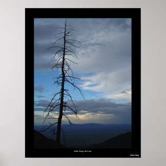 Affiches Solitude du canyon Miller