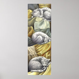 Affiches sommeil léger