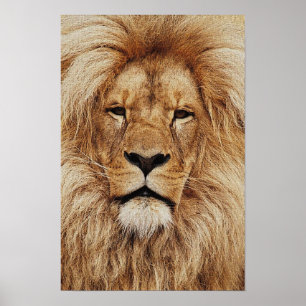 Affiches Son Altesse Royale