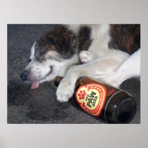 Affiches Son vice-maître