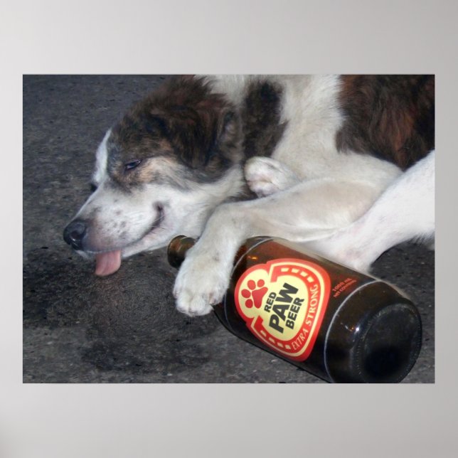 Affiches Son vice-maître (Devant)