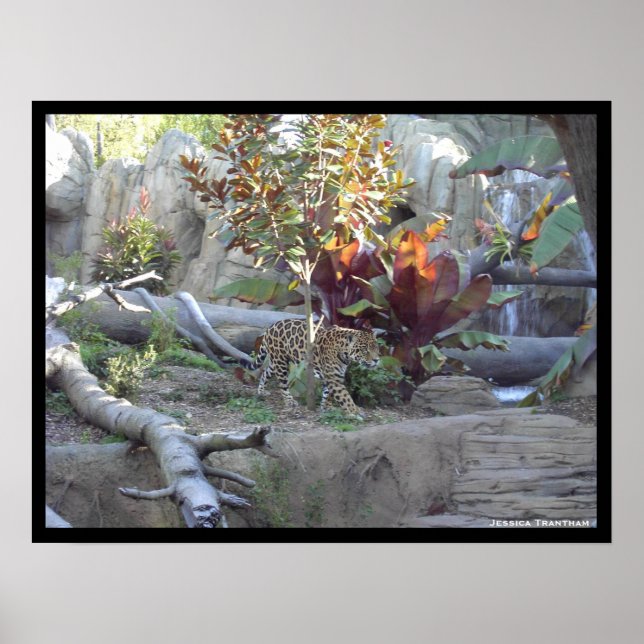 Affiches Sondage (Devant)