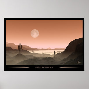 AFFICHES SONORAN