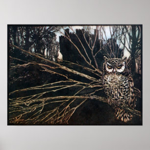 Affiches Sorcière sous forme de hibou