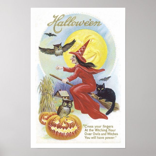 Affiches Sorcière volante, chauves-souris, chat, Chouette (Devant)