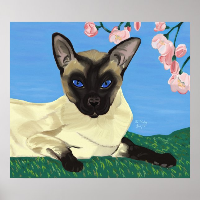 Affiches Sous l'affiche des fleurs de cerisiers (Devant)