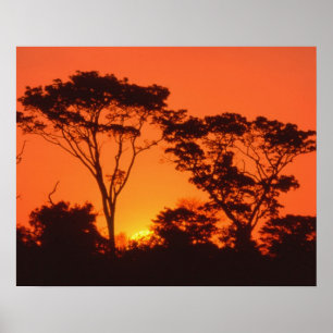 Affiches South Africa.  African sunset.