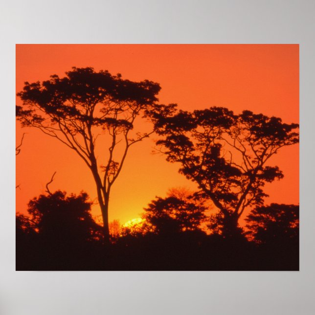 Affiches South Africa.  African sunset. (Devant)