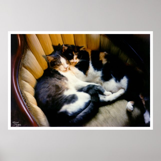 Affiches Soutien mutuel (Devant)