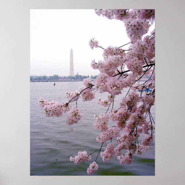 Affiches Souvenirs passés (Devant)