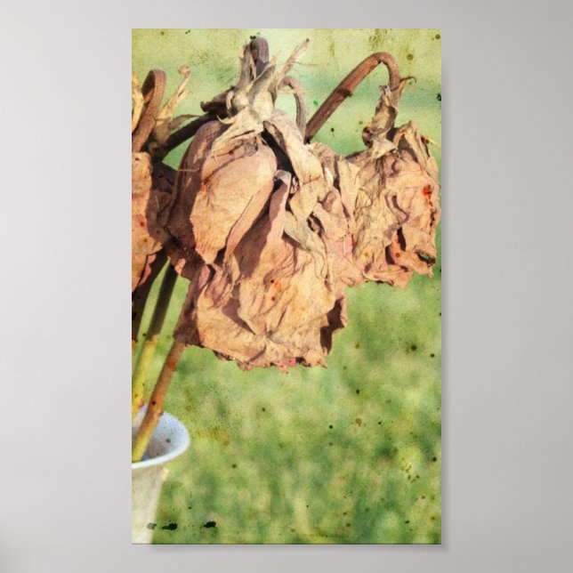 Affiches Souvenirs passés (Devant)