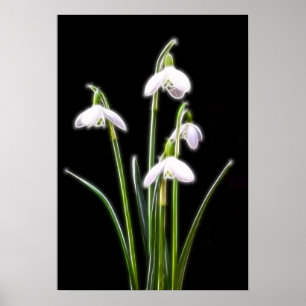 Affiches Sparkling Snowdrops