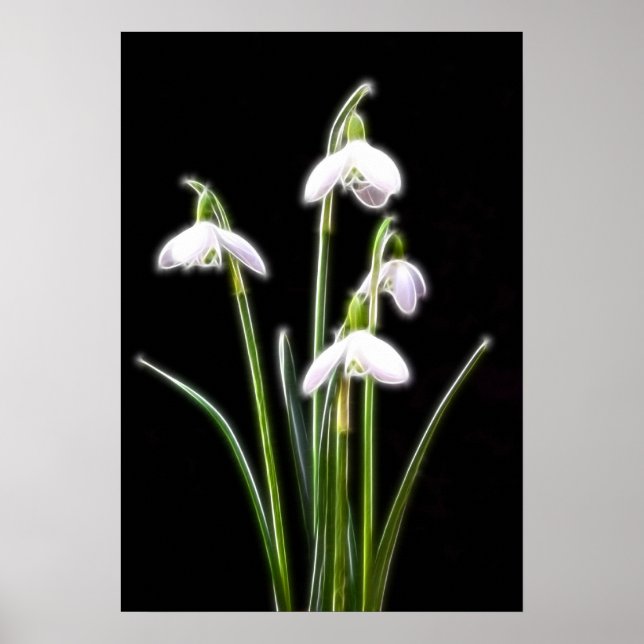 Affiches Sparkling Snowdrops (Devant)