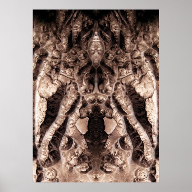 Affiches Spectacle de fous (Devant)