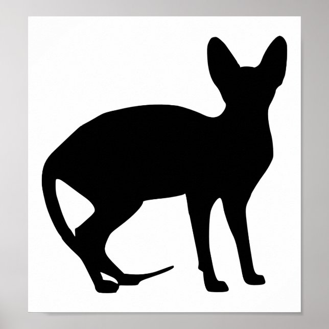 Affiches Sphinx (Devant)