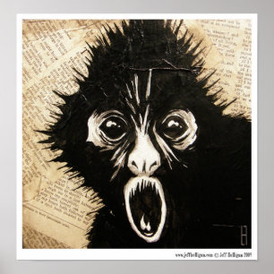 Affiches SpiderMonkey