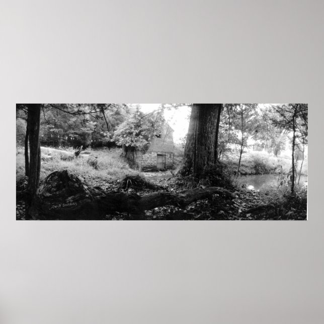 Affiches Spring House, Irving College Tennessee (Devant)