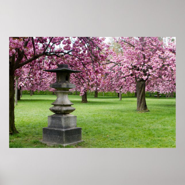 Affiches Spring in Paris Cherry Blossoms (Devant)