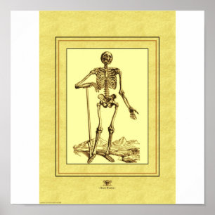 Affiches Squelette