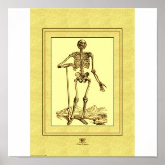 Affiches Squelette