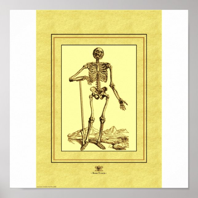 Affiches Squelette (Devant)