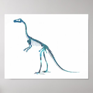 Affiches squelette compsognathus