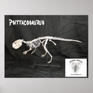 Affiches Squelette de Psittacosaurus