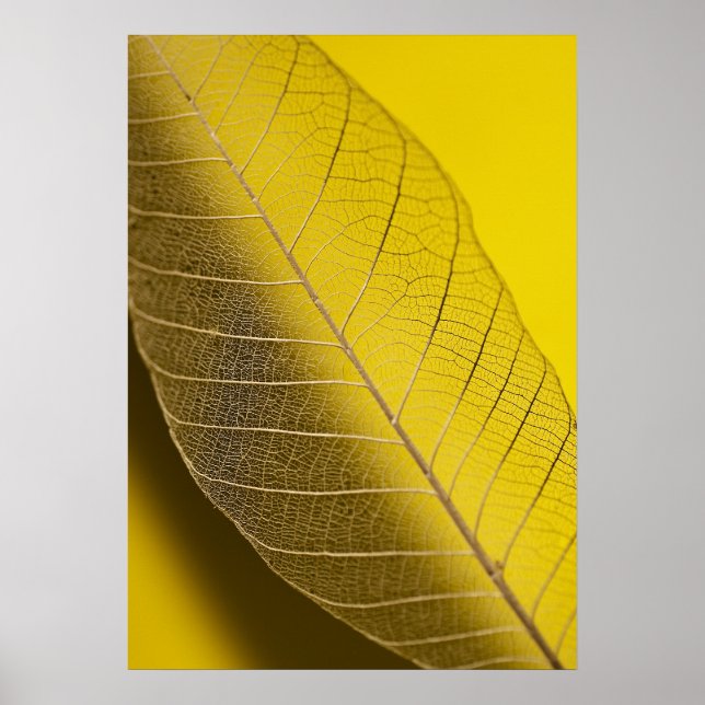 Affiches Squelette Feuille jaune (Devant)