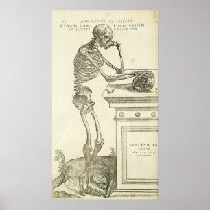 Affiches Squelette vintage d'Andreas Vesalius d'anatomie