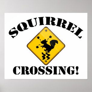 Affiches Squirrel Crossing Road Sign