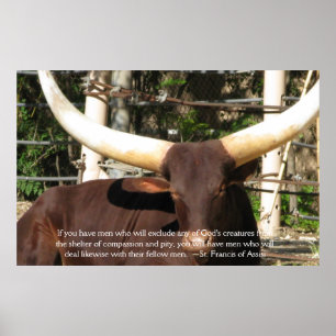 Affiches St. Francis of Assisi Quote about Animal Rights