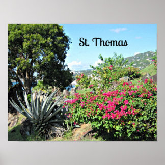 Affiches St. Thomas
