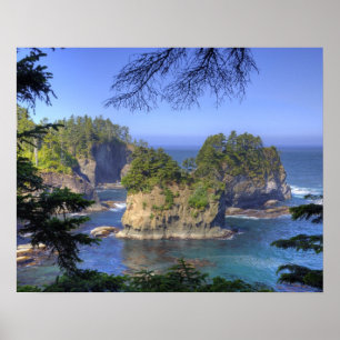 Affiches Stacks marins, terres tribales de la nation Makah,