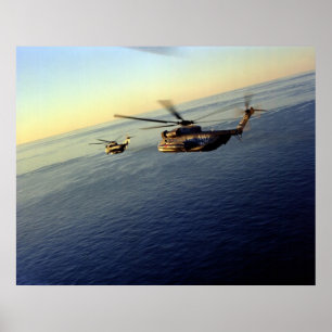Affiches Stallions de mer CH-53